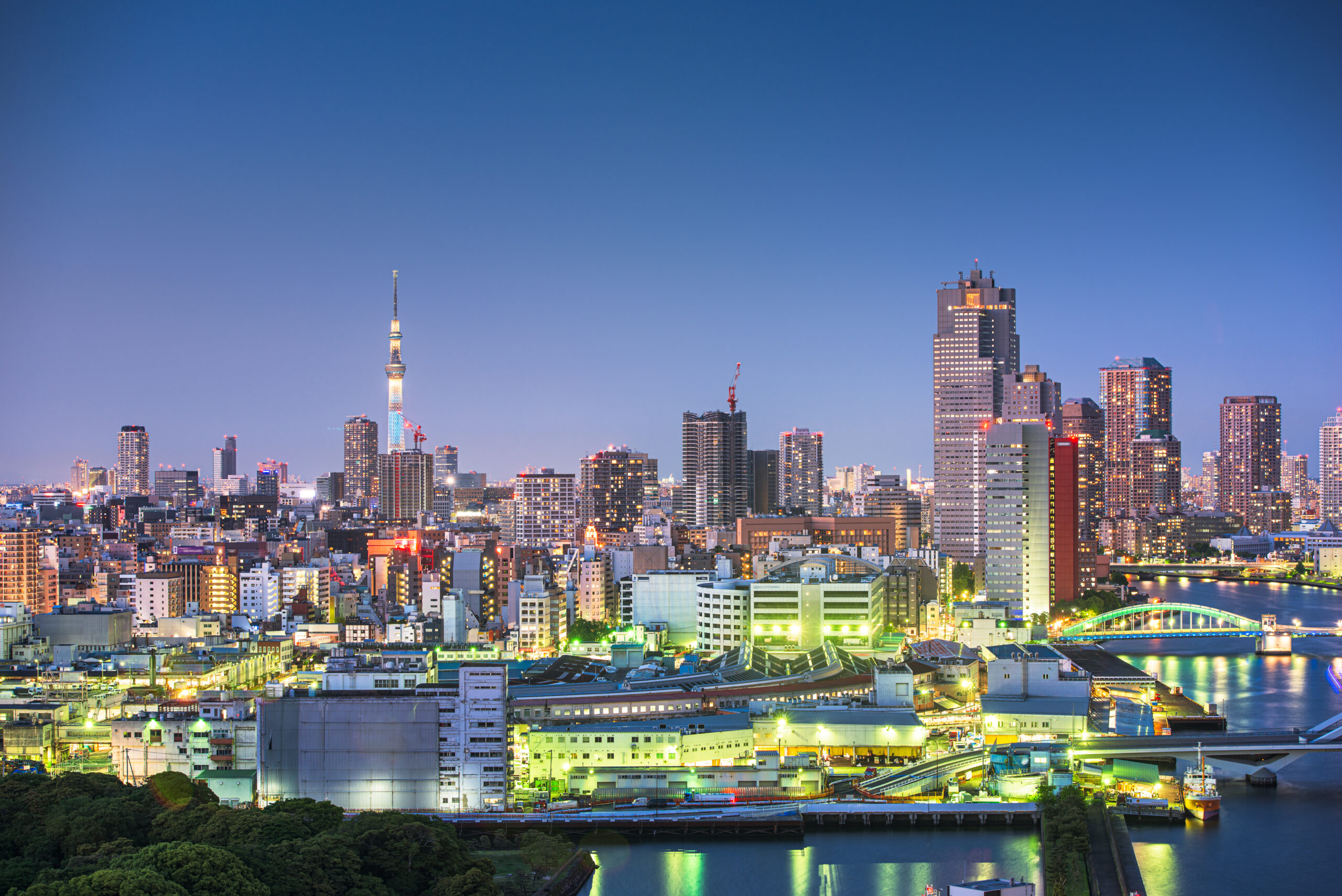 Alden Graff Tokyo Japan Expatriates